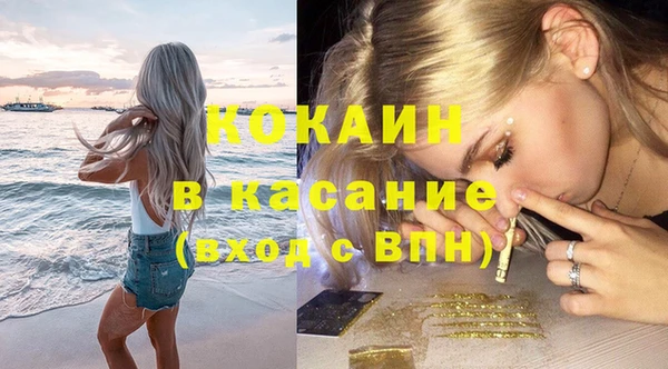 стафф Алзамай